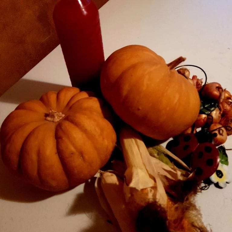 two yellow pumpkins from Perivolaki farm